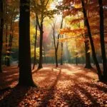 Autumn Forest with Fallen Leaves