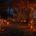 Autumn Leaves and Jack-O’-Lanterns