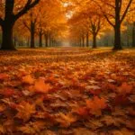 Autumn Leaves in the Park