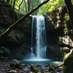 Mystical Waterfall in Hidden Forest