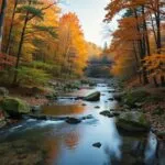 River Through Autumn Woods