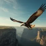 Soaring Eagle Over Cliffs