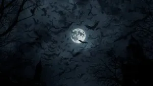 Spooky Bats in the Night Sky