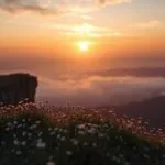 Sunset Over Clifftop Meadow