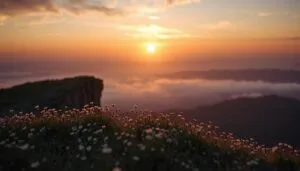 Sunset Over Clifftop Meadow
