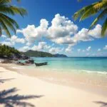 Tropical Beach with Turquoise Waters