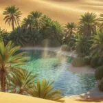 Desert Oasis Palm Trees Water Pool Isolated Refuge