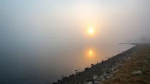 Foggy Lake Shoreline