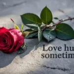 Love Hurts Sometimes