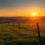 Rolling Countryside Sunset