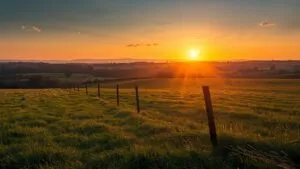 Rolling Countryside Sunset