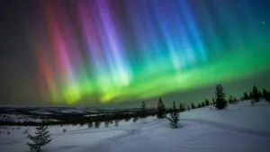 Aurora Lights Above Snowy Landscape
