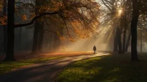 Autumn Foggy Morning Walk Park Solitude