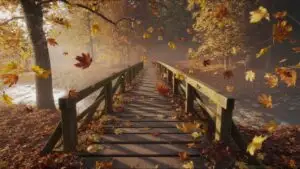 Autumn Wind Blowing Leaves on Wooden Bridge