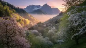 Blossoming Spring Valley Oasis