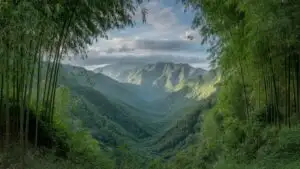 Bright Green Bamboo Forest With Soft Light