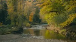 Calm River Flowing Autumn Forest Colorful Warm Tones