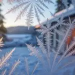 Cold Winter Morning With Frost on Window Glass