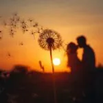 Dandelion Seeds Blowing Away Couple Wish Ephemeral