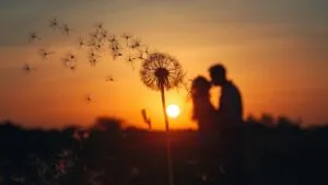 Dandelion Seeds Blowing Away Couple Wish Ephemeral