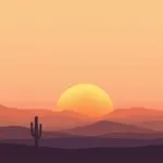Desert Cactus Silhouette Design