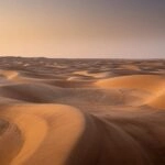 Desert Dunes Under Soft Evening Light