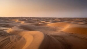 Desert Dunes Under Soft Evening Light