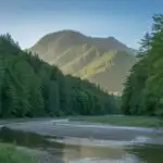 Emerald Forest Waterway Serenity
