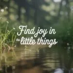 Find Joy in the Little Things