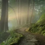 Forest Path Covered in Morning Mist