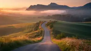 Golden Hour Rural Path Serenity