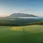 Green Fields Under Bright Summer Sky