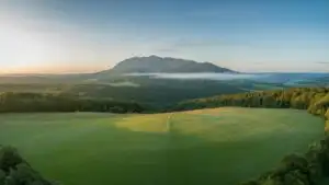 Green Fields Under Bright Summer Sky