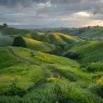 Green Hills Under Soft Cloudy Sky