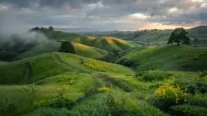 Green Hills Under Soft Cloudy Sky