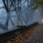 Halloween Fog Rolling Through Old Stone Path