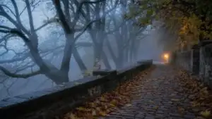 Halloween Fog Rolling Through Old Stone Path