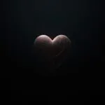 Heart in the Shadows