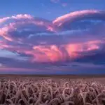 Heart Shaped Sky