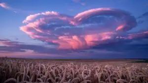 Heart Shaped Sky
