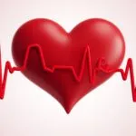Heartbeats in Slow Motion