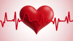 Heartbeats in Slow Motion