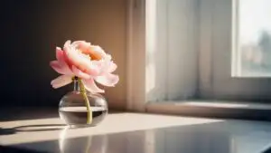 Minimal Vase With Single Flower in Window