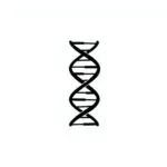 Minimalist DNA Code Sequence Black White