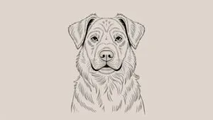 Minimalist Line Art Dog Portrait