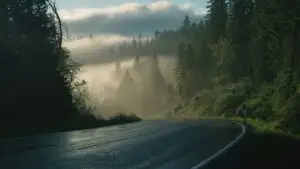Misty Road: Rainy Forest Path with Soft Light