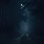 Moody Forest Path at Twilight