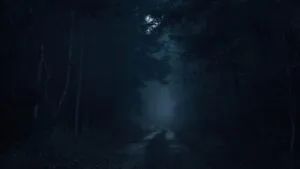 Moody Forest Path at Twilight