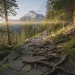 Open Air Summit Trek