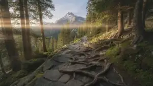 Open Air Summit Trek